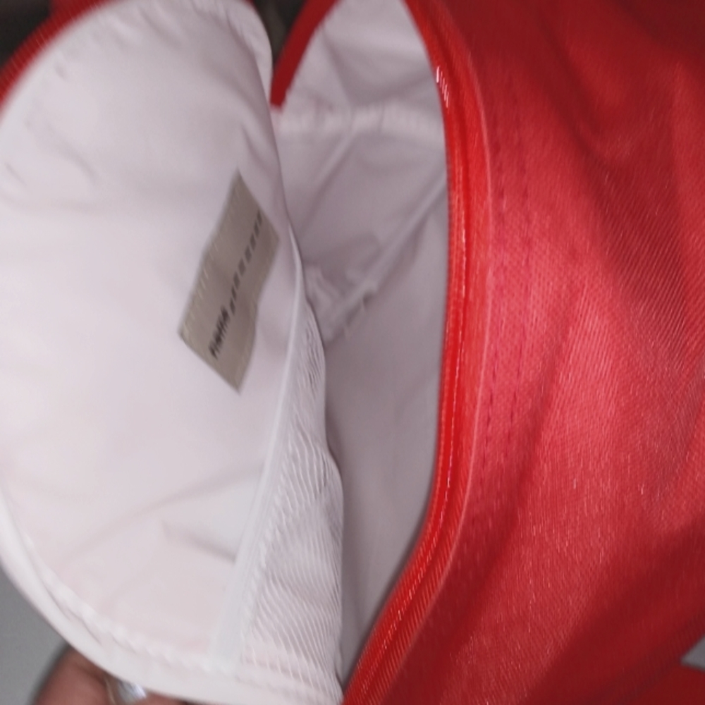 Red fox backpack/lunchpal